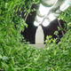Illustration for article titled 14 High-Tech Farms Where Veggies Grow Indoors